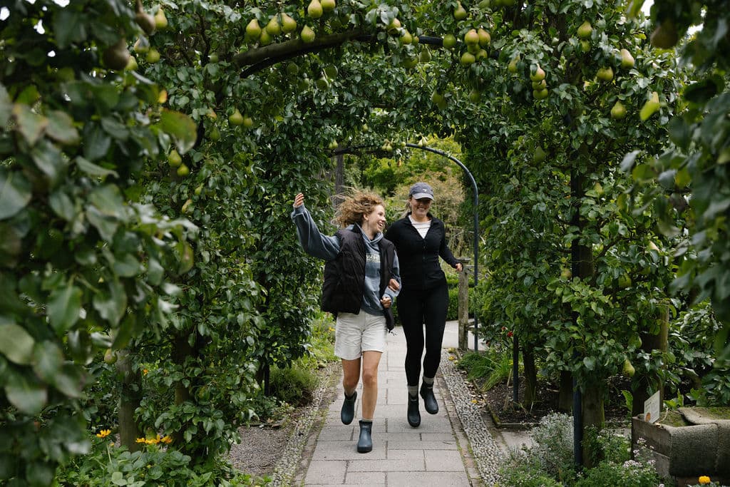 Meadow Day2 CHCH1899